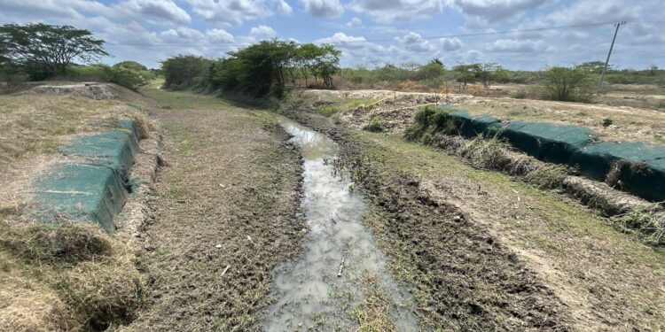‘El Niño’ baja caudal del río Magdalena y afecta flujo de agua a caños de la Ciénaga Grande