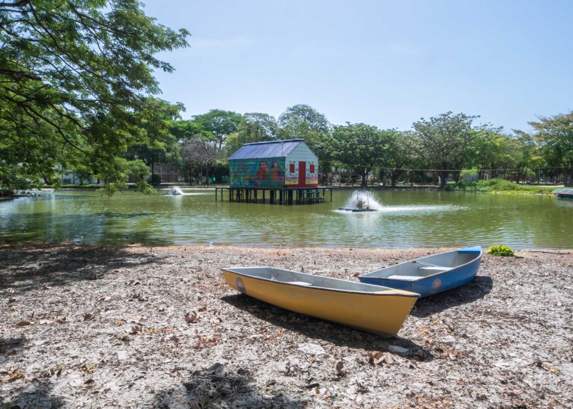 Unimagdalena iniciará adecuación y mantenimiento ecológico de su lago artificial
