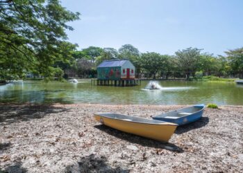 Unimagdalena iniciará adecuación y mantenimiento ecológico de su lago artificial