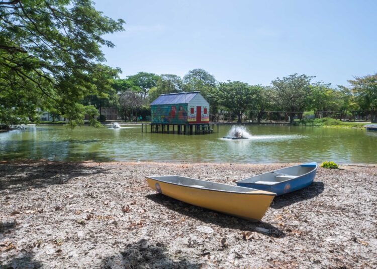 Unimagdalena iniciará adecuación y mantenimiento ecológico de su lago artificial
