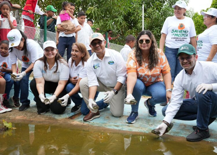 Liberan mil hicoteas en ciénaga La Rinconada, en el Magdalena