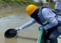 Muerte de peces en el Caño Peñoncito, de San Zenón es investigada por Corpamag