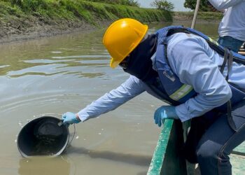 Muerte de peces en el Caño Peñoncito, de San Zenón es investigada por Corpamag