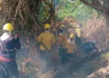 Incendio forestal consume 30 hectáreas en la Isla de Salamanca y obliga a reforzar labores de extinción