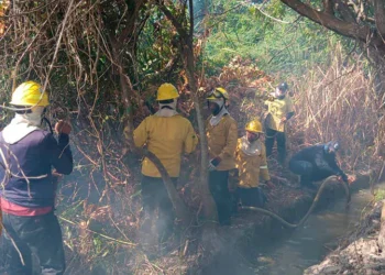 Incendio forestal consume 30 hectáreas en la Isla de Salamanca y obliga a reforzar labores de extinción
