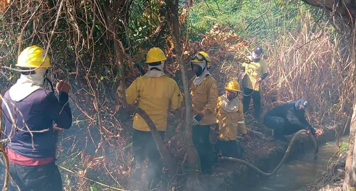 Incendio forestal consume 30 hectáreas en la Isla de Salamanca y obliga a reforzar labores de extinción