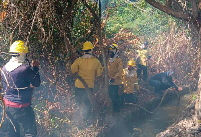 Incendio forestal consume 30 hectáreas en la Isla de Salamanca y obliga a reforzar labores de extinción
