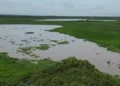 Corpamag desmiente cobros por supuestas labores de limpieza en cuerpos de agua de San Sebastián