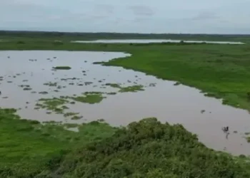 Corpamag desmiente cobros por supuestas labores de limpieza en cuerpos de agua de San Sebastián