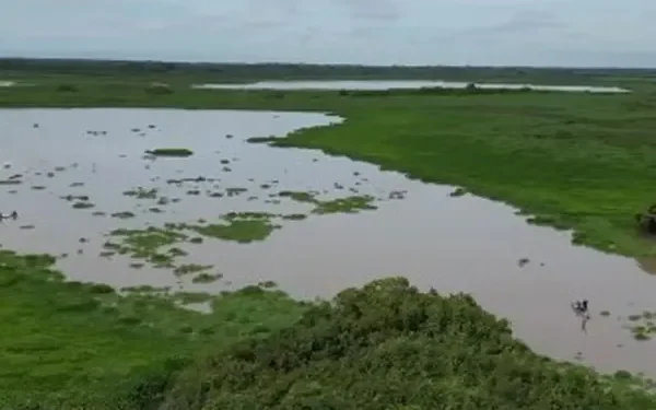 Corpamag desmiente cobros por supuestas labores de limpieza en cuerpos de agua de San Sebastián