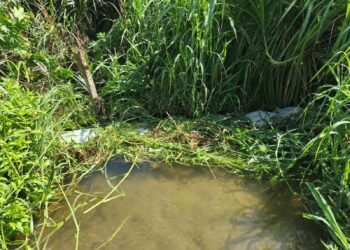 Retiran trincho de 8 metros que obstruía flujo de agua en la quebrada La Aguja