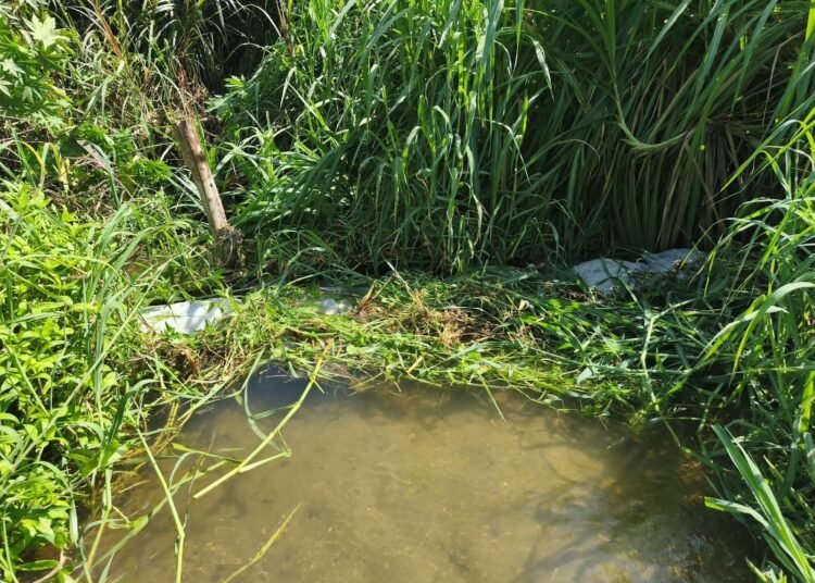 Retiran trincho de 8 metros que obstruía flujo de agua en la quebrada La Aguja