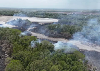 Más de 20 hectáreas afectadas por incendio en la Isla de Salamanca