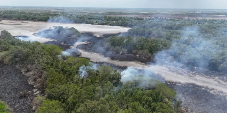 Más de 20 hectáreas afectadas por incendio en la Isla de Salamanca