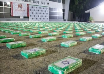 Incautan cerca de una tonelada de cocaína en la Sierra Nevada de Santa Marta