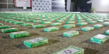 Incautan cerca de una tonelada de cocaína en la Sierra Nevada de Santa Marta