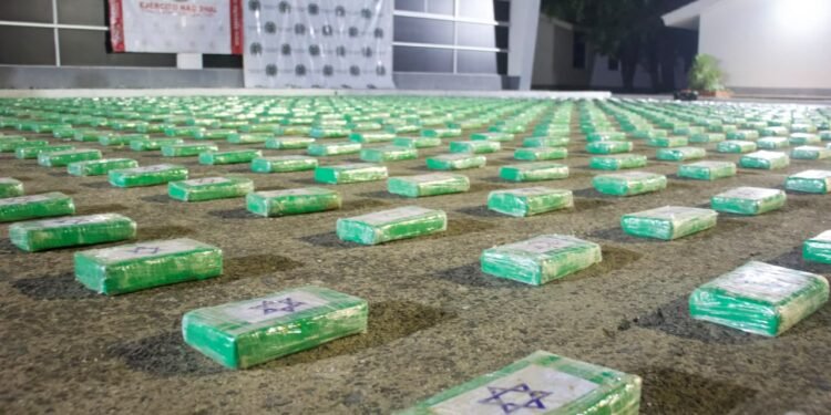 Incautan cerca de una tonelada de cocaína en la Sierra Nevada de Santa Marta